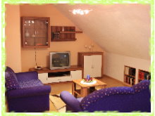 Wohnzimmer Ferienwohnung Rüdesheim